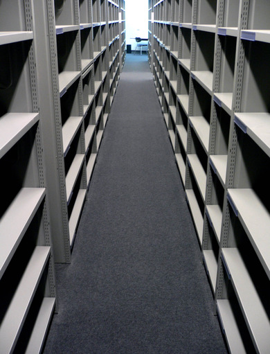 Photograph: book shelves