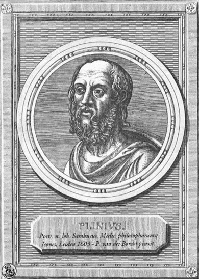 Porträt: Plinius der Ältere