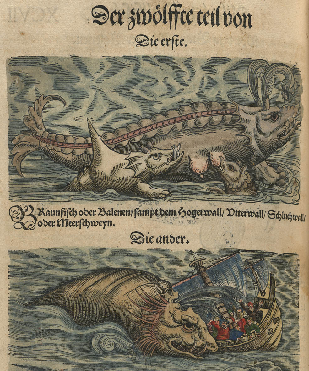 Double-page excerpt: Historia animalium