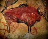 Cave painting: Altamira